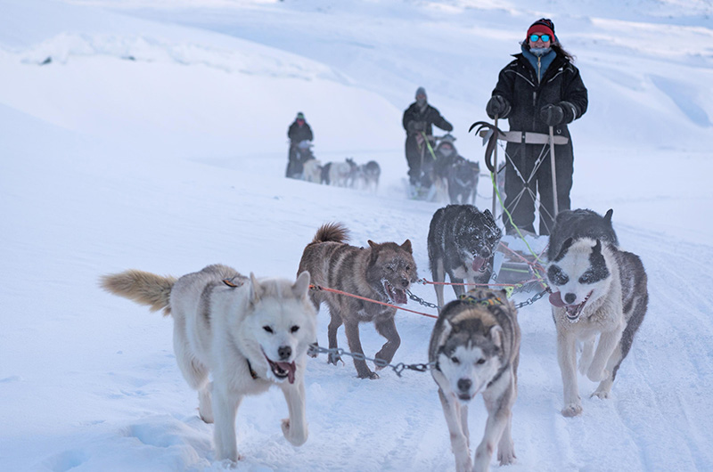 Basecamp-Svalbard-dogsledding Basecamp-Svalbard-dogsledding