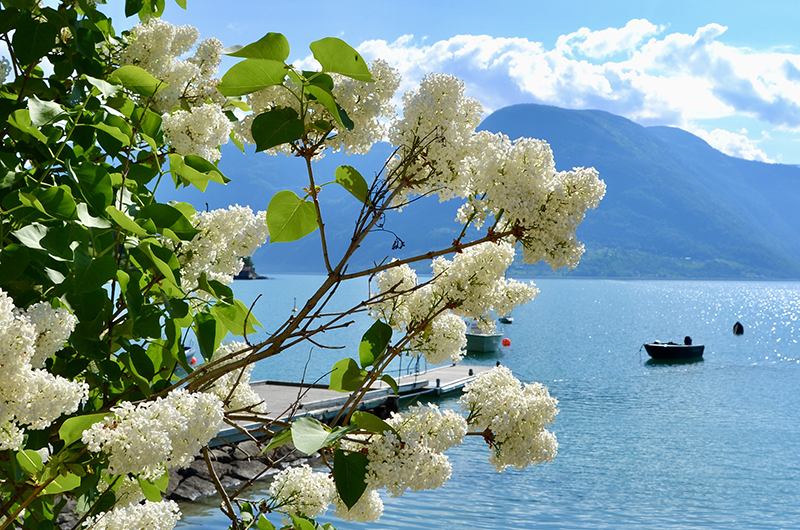 Sognefjorden - fjord