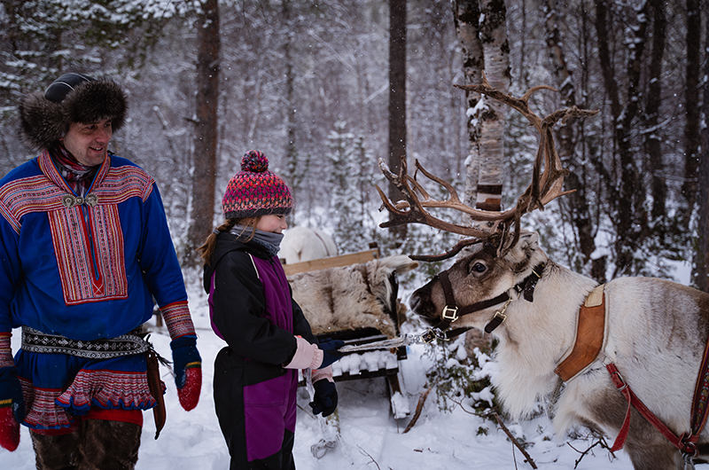 Sorrisniva – reindeers – thumbnails Sorrisniva - reindeers - thumbnails